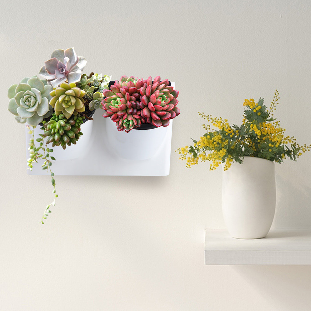 Succulent Planter Pot - Pot Bunga Plastik Violet dengan Sistem
