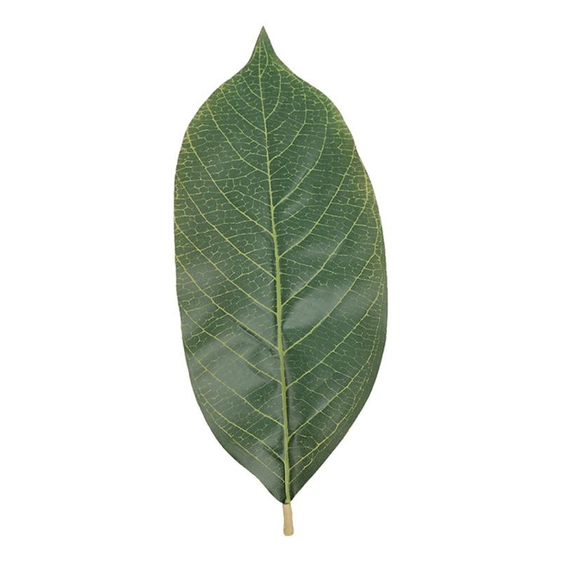 Daun Magnolia Hijau Buatan Pak - Artificial Hanging Plants ulasan dan harga