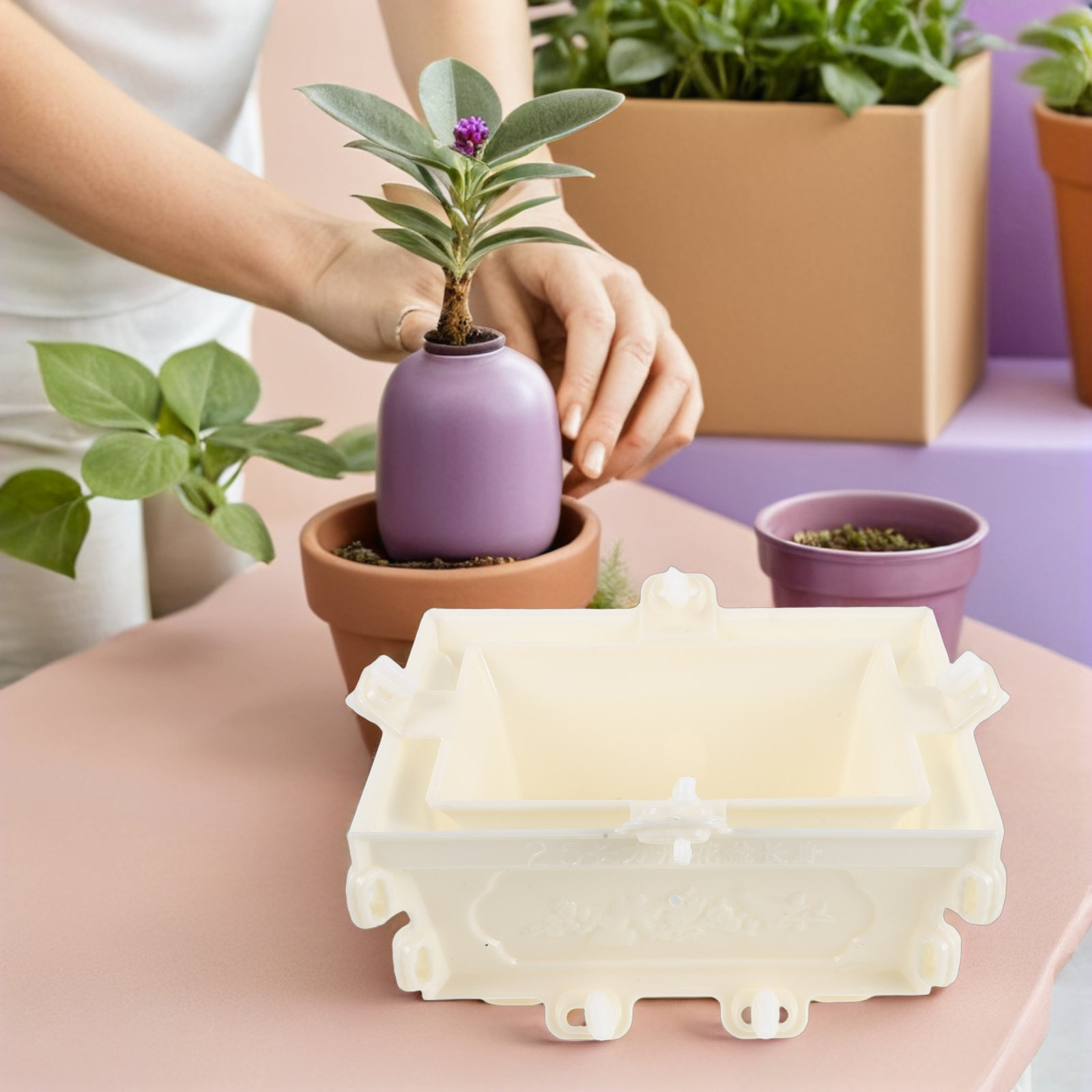 Cetakan Pot Bunga Beton Plasti - Succulent Planter Pot ulasan dan harga