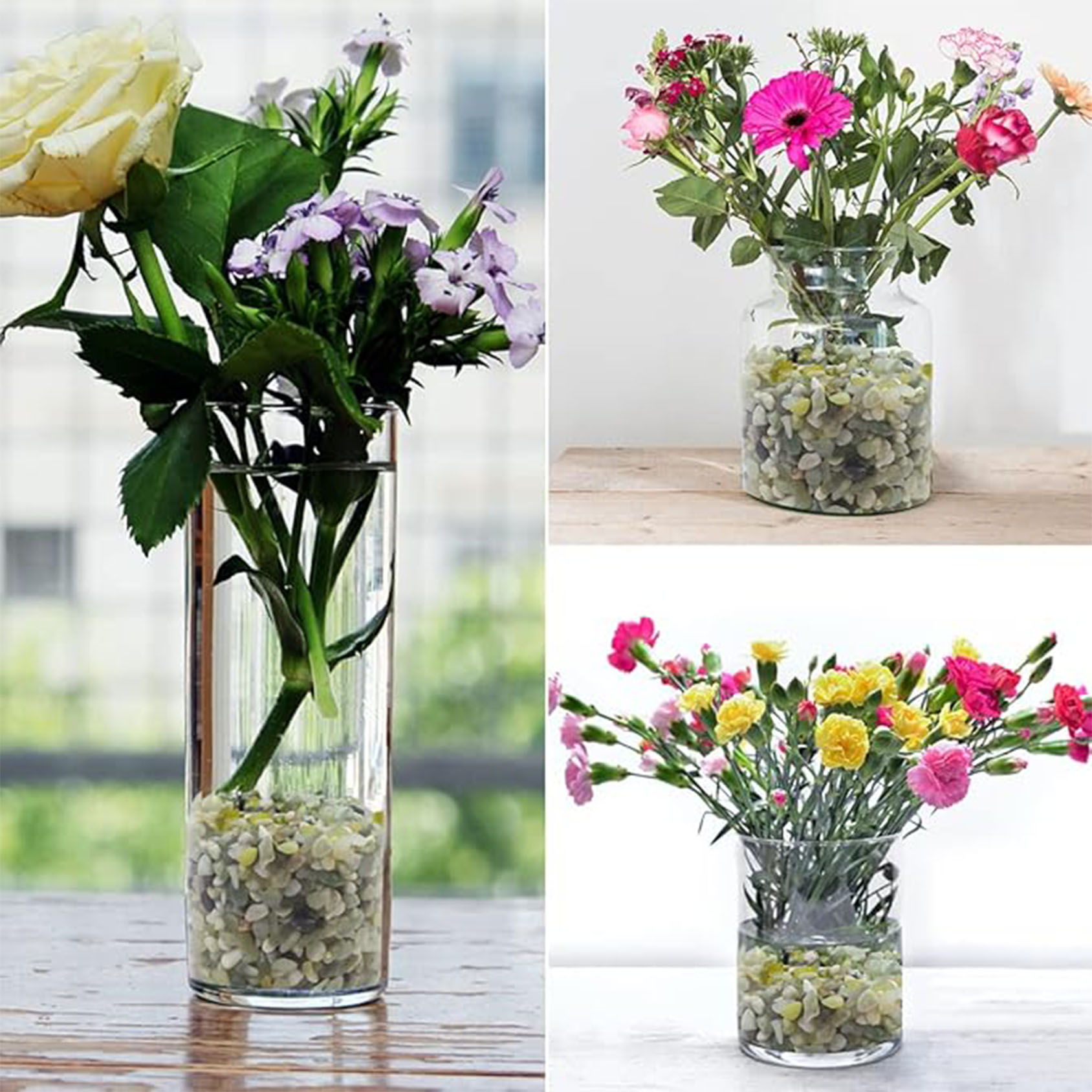 Kerikil Sukulen dan Kaktus, Ba - Succulent Planter Pot ulasan dan harga
